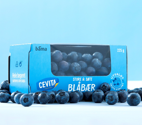 Case: Blåbær Bama