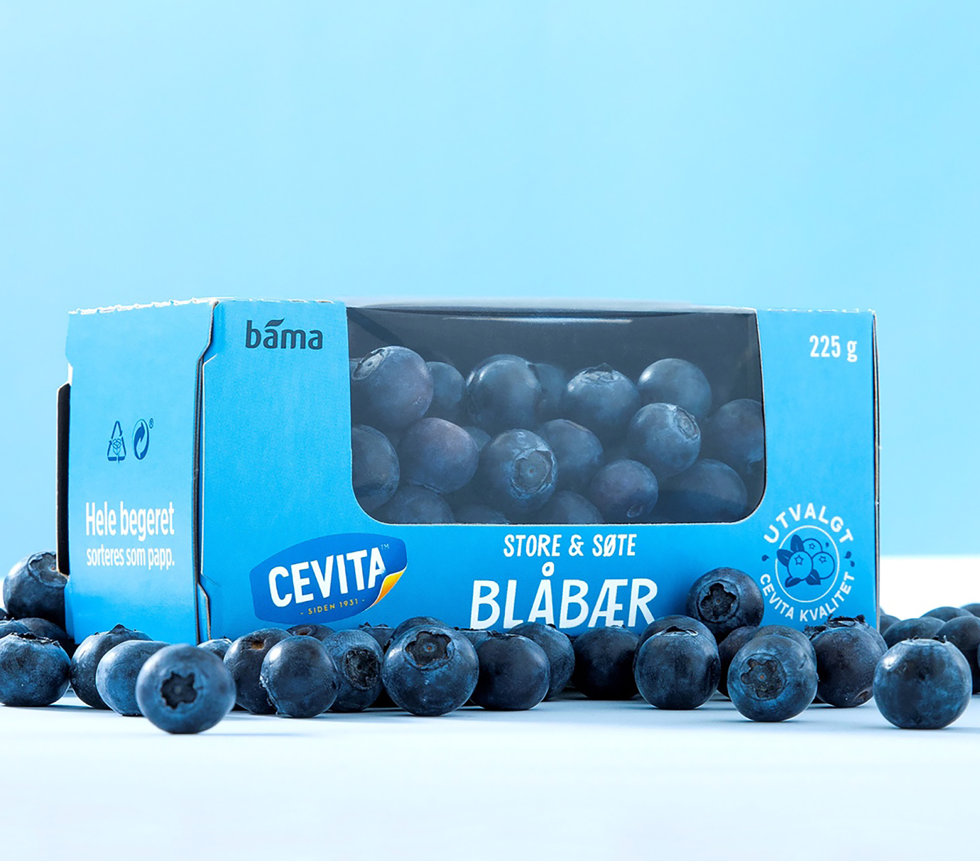 Case: Blåbær Bama