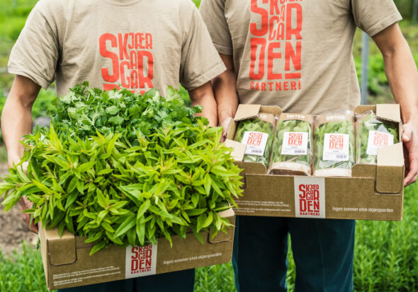 Case: emballasje for Skjærgaarden urter