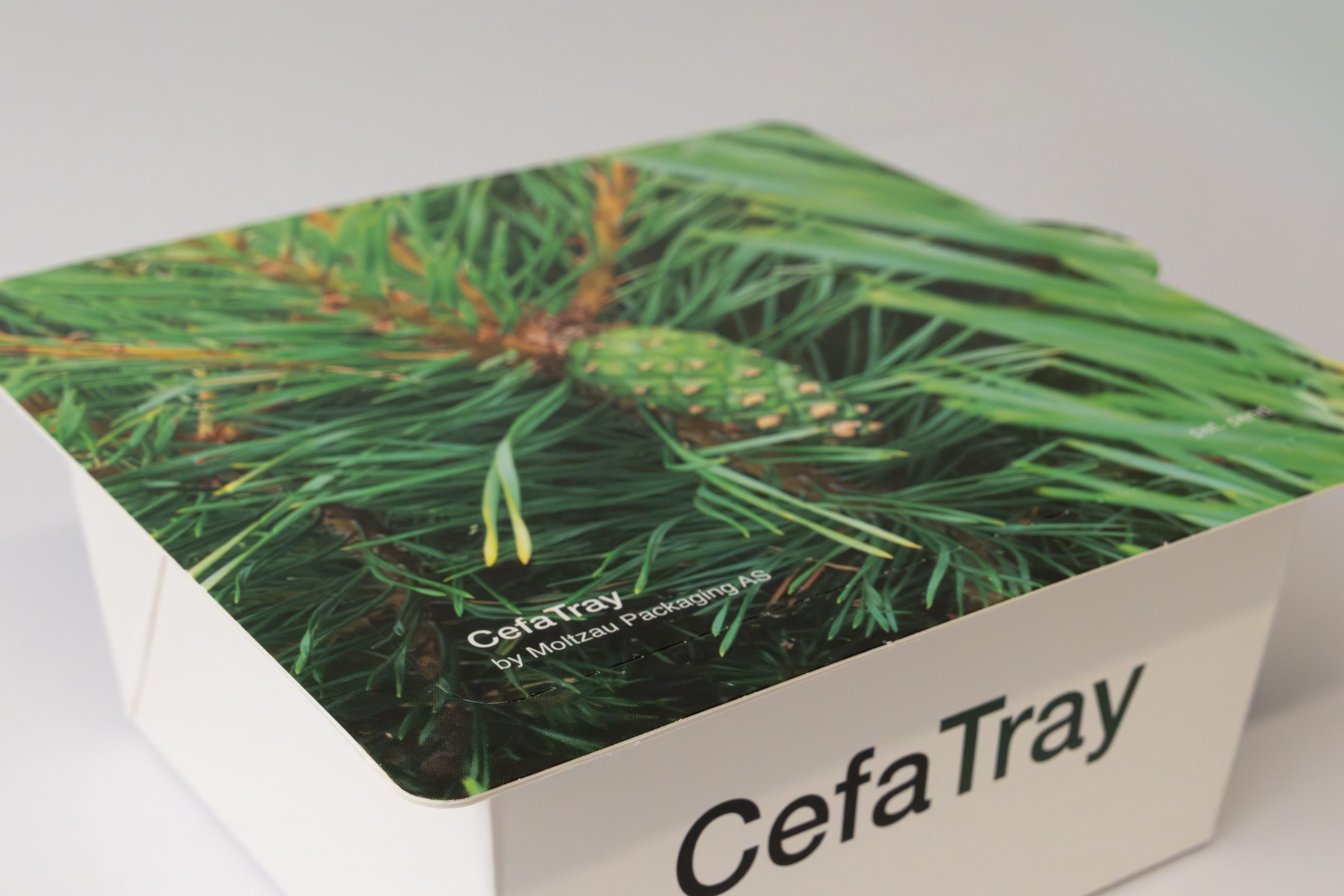 CefaTray nærbilde av Bredholt Foto